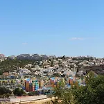 Sunny 阿尔布费拉